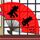 幸福魔方